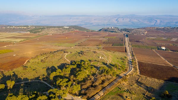 The Cities of Refuge