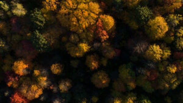 THE BIRTH OF SPIRITUALISM AND THE STATE OF THE DEAD