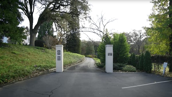 ELMSHAVEN: VISIONS AND GRANDCHILDREN