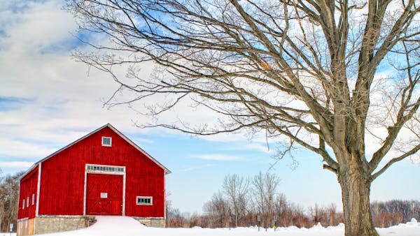 Miles To Go Before I Sleep: James White On Tour