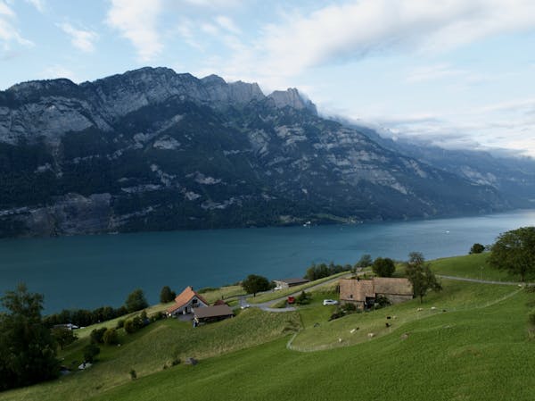 Anna Reinhart - Twice Wed in Secret