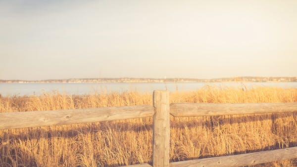 HAZEN FOSS AND WILLIAM FOY: FAITHFUL AND UNFAITHFUL