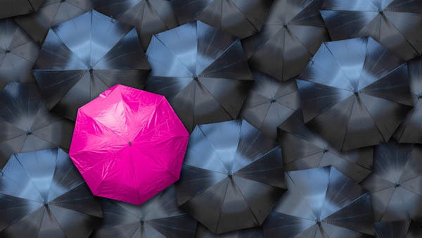 I, Charlotte: The Manifesto of an Activist