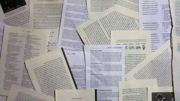 Martin Luther and The Theses Of Revolution