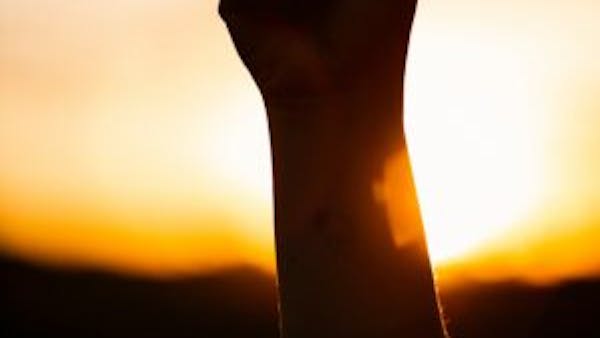 Peter Waldo and The Waldensian Revolution