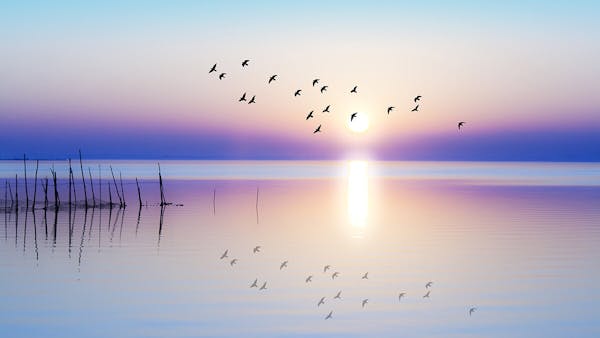 SLAVERY, THE CIVIL WAR AND ELLEN WHITE