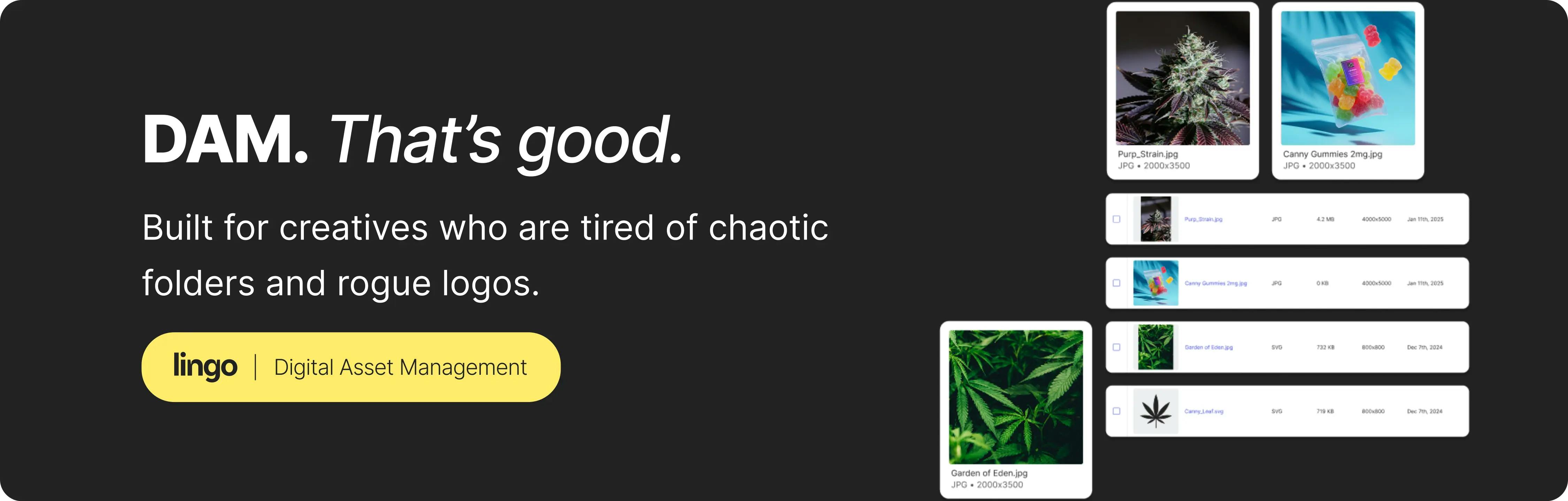 DAM Banner Ad for Lingo targeting cannabis brands