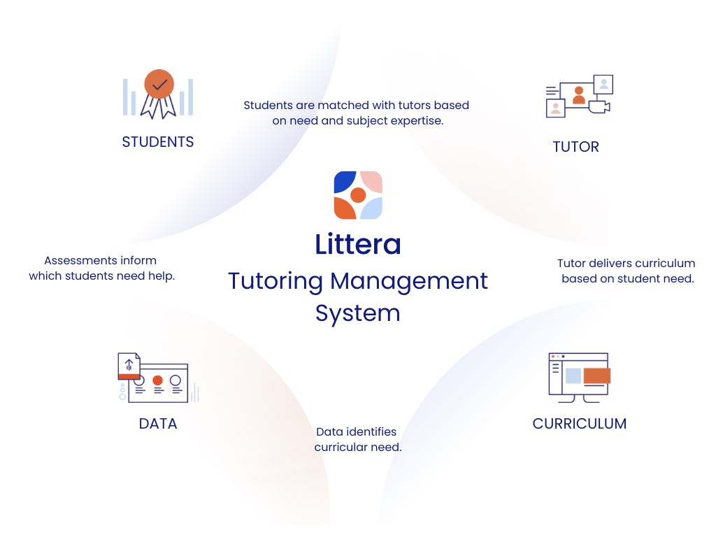 Littera TMS overview diagram