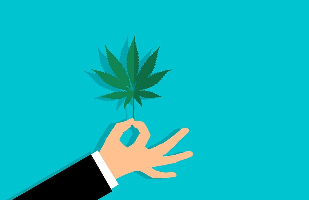 CBD France