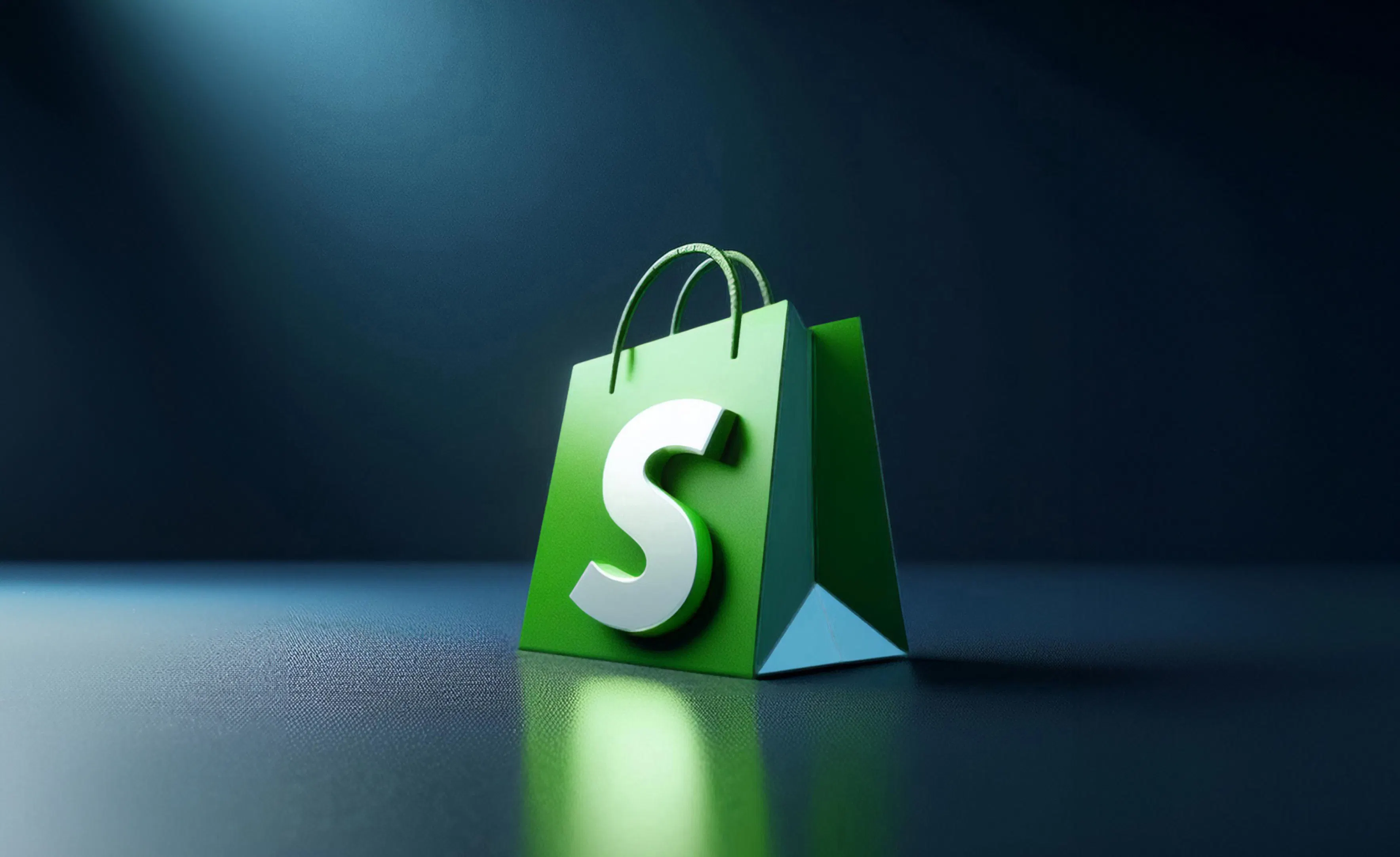 Agence Shopify