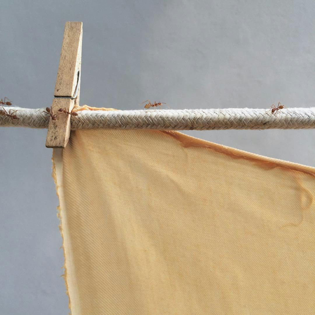 Fabric
