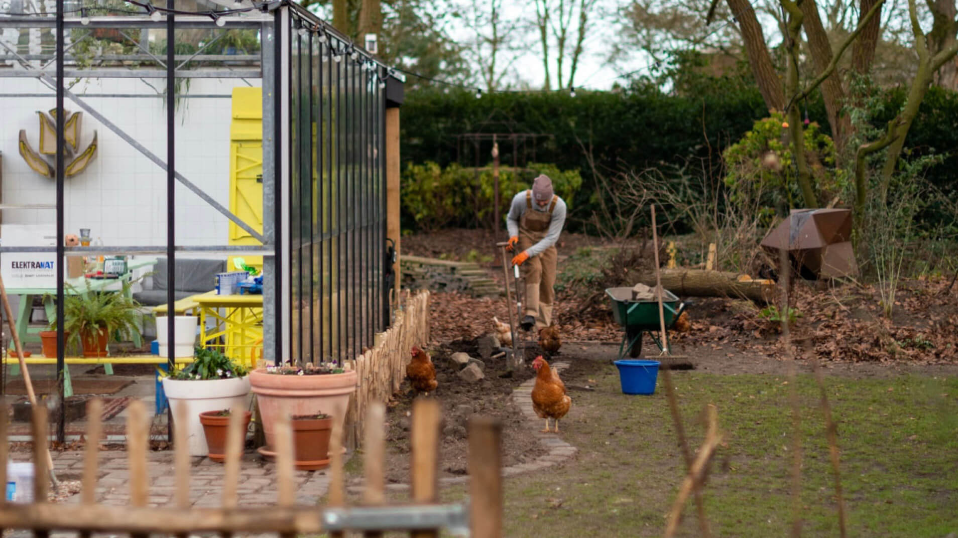 Living Creations | Pluimhortensia | Hydrangea | Paniculata | Hortensie | Interview Tuinbroekies | podcast