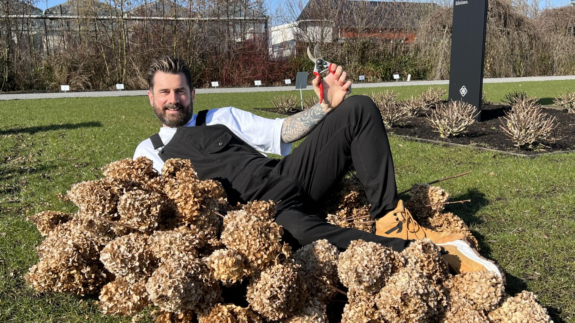 3 manieren om pluimhortensia's te snoeien