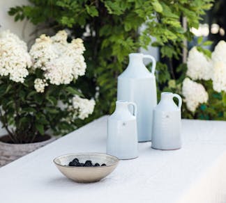 Hydrangea paniculata Living Little Blossom® (Living Creations)