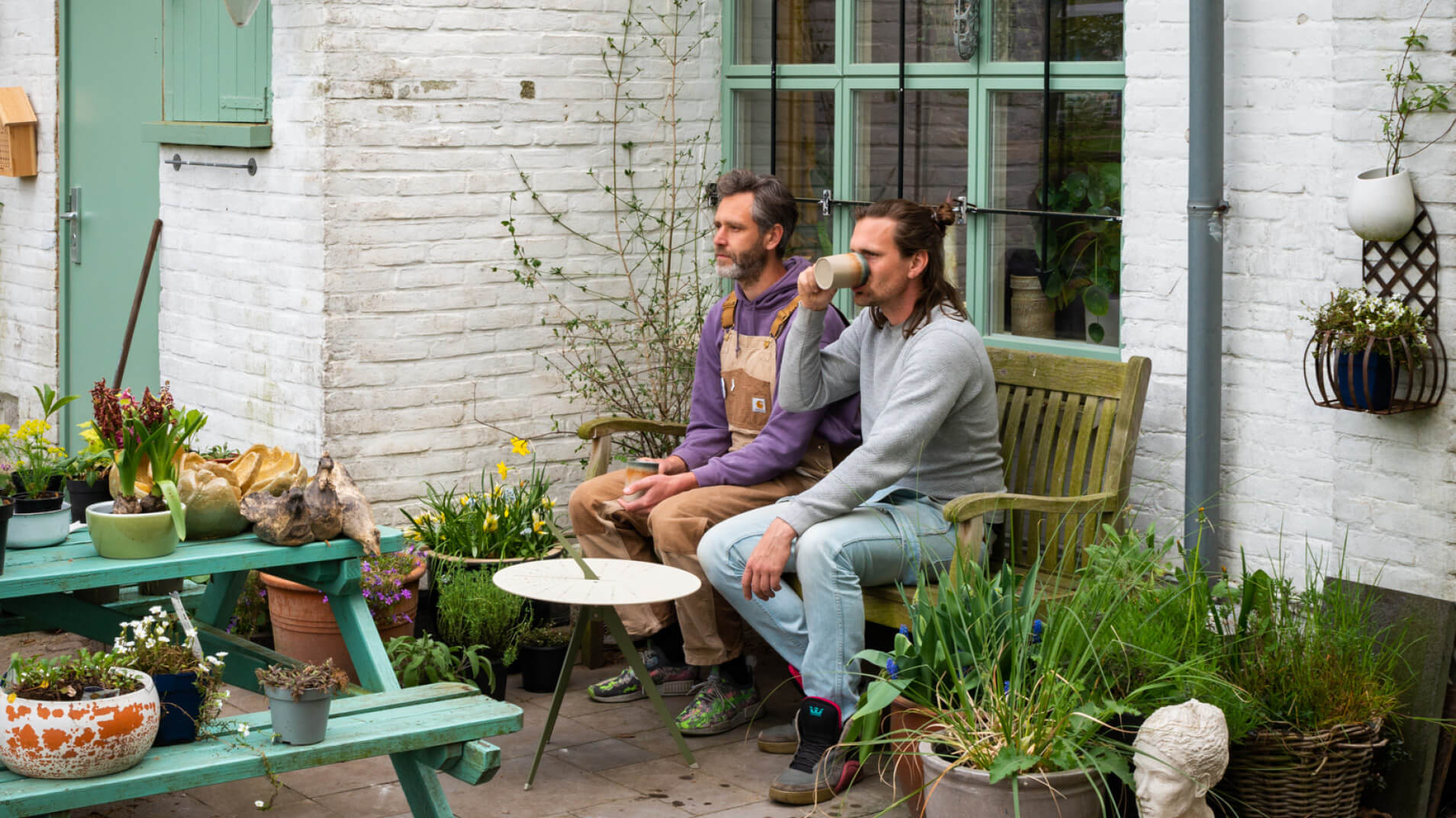 Living Creations | Pluimhortensia | Hydrangea | Paniculata | Hortensie | Interview Tuinbroekies | podcast