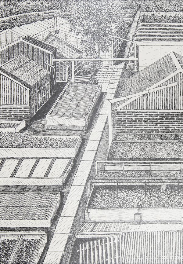 An illustration of the nursery of Hermanus Schoemaker