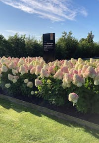 Living Candy Love in der Mitte der Saison