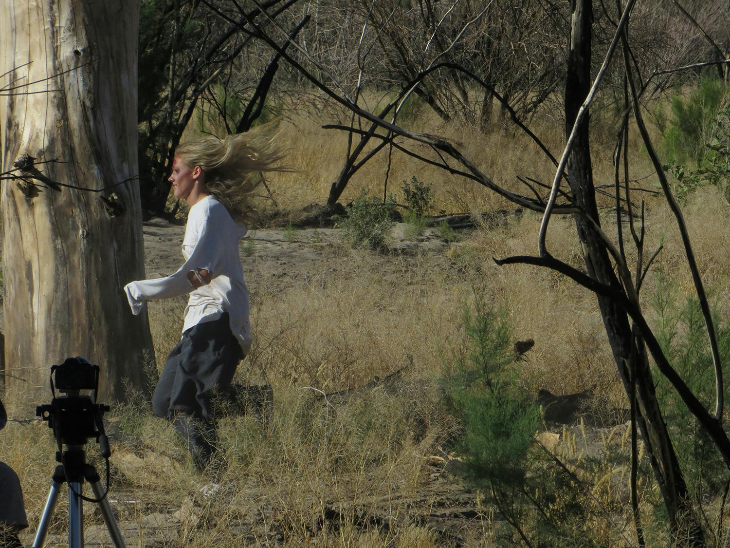 Zombie running in the trees