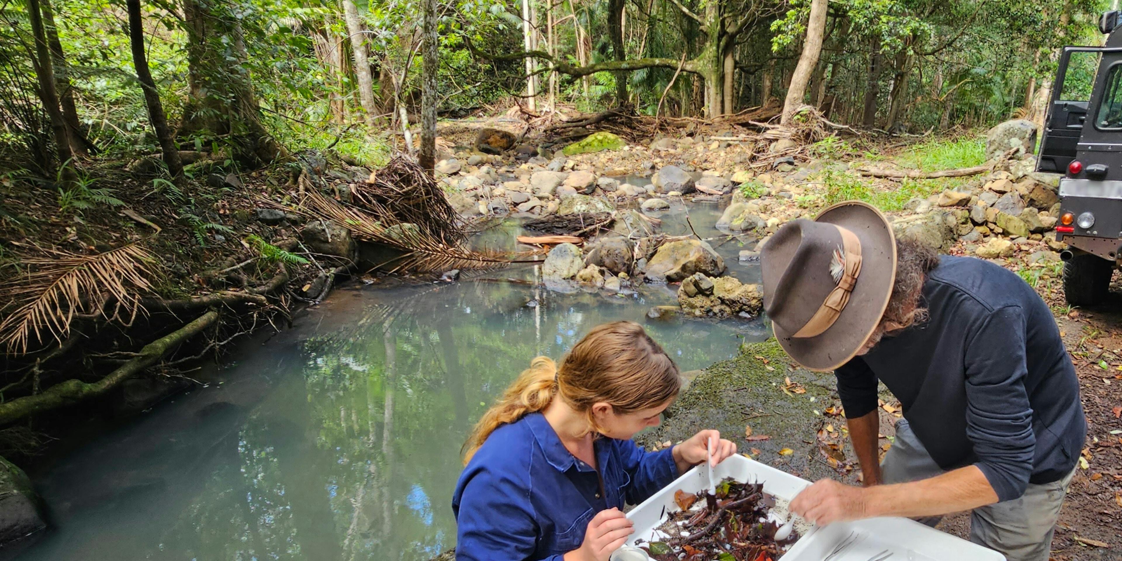 Listening to the river
