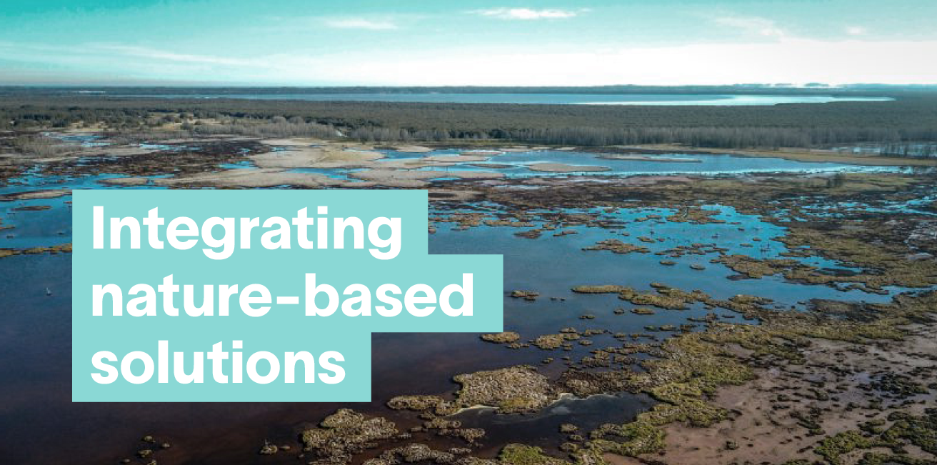 Integrating nature-based solutions