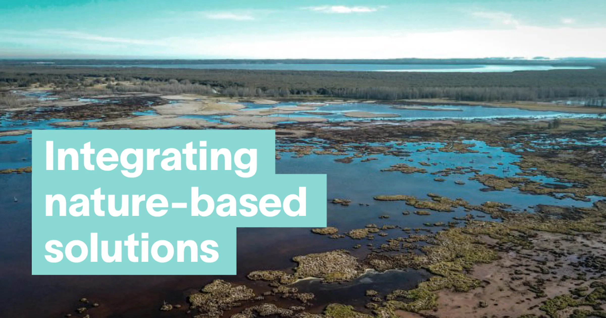 Integrating nature-based solutions