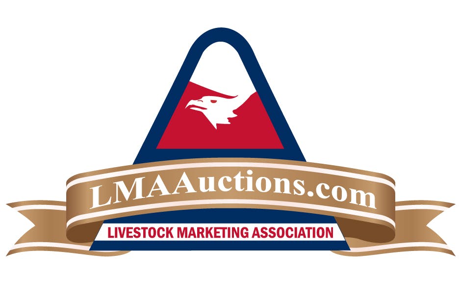 LMA Auctions Logo