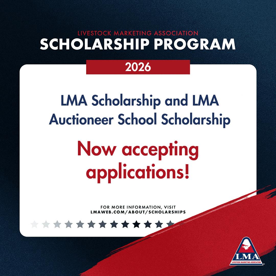graphic saying scholarship applications are open