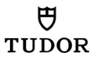 Tudor logo, 2022