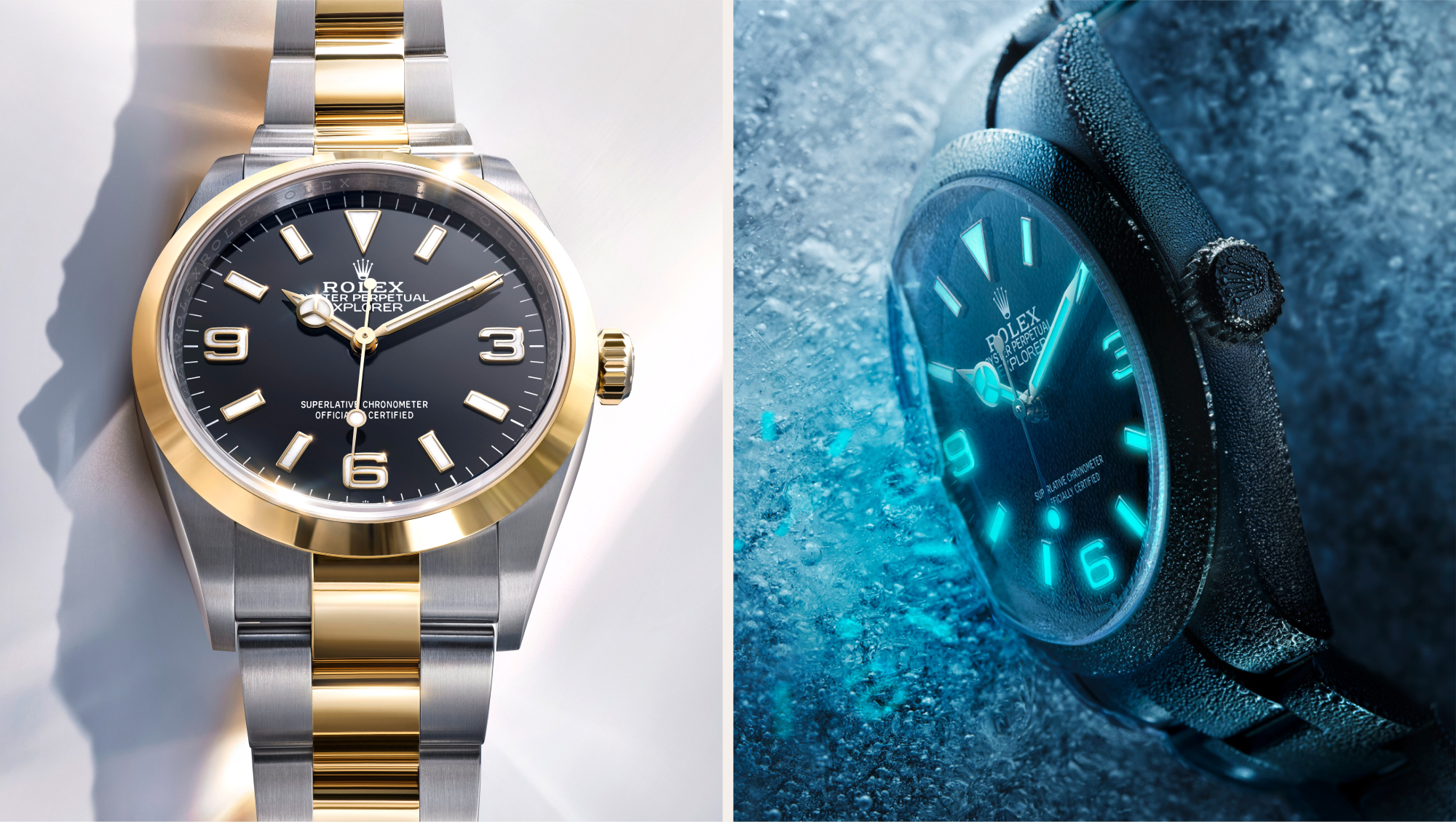 Rolex Explorer Watches | Lee Michaels Fine Jewelry