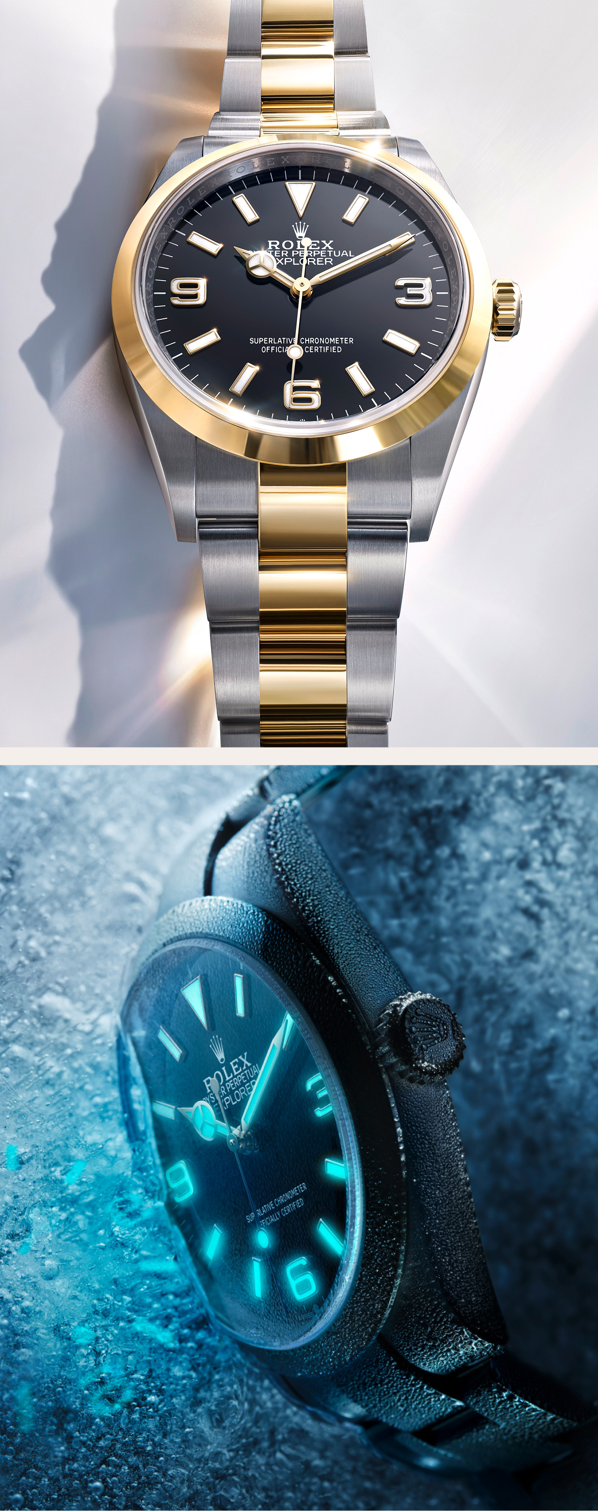 Rolex Explorer Watches | Lee Michaels Fine Jewelry