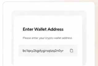 Enter wallet address