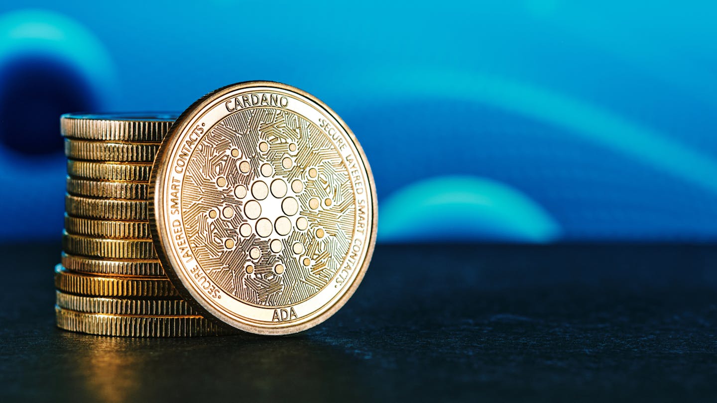 Cardano Header