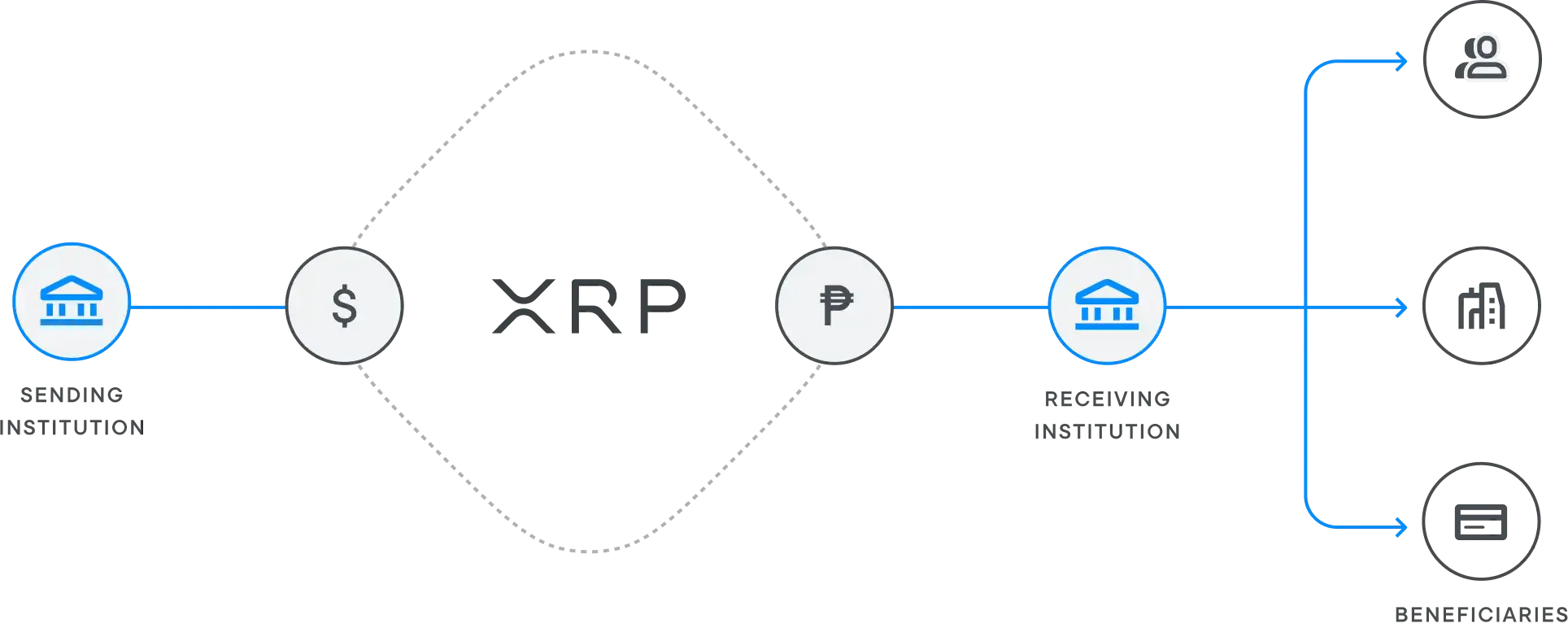 Ripple (XRP): What Is It & How Does It Work? | Localcoin