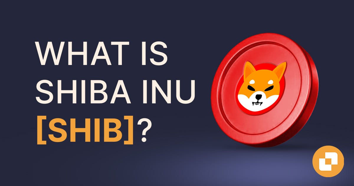 Banner of blog labelled What is Shiba Inu?