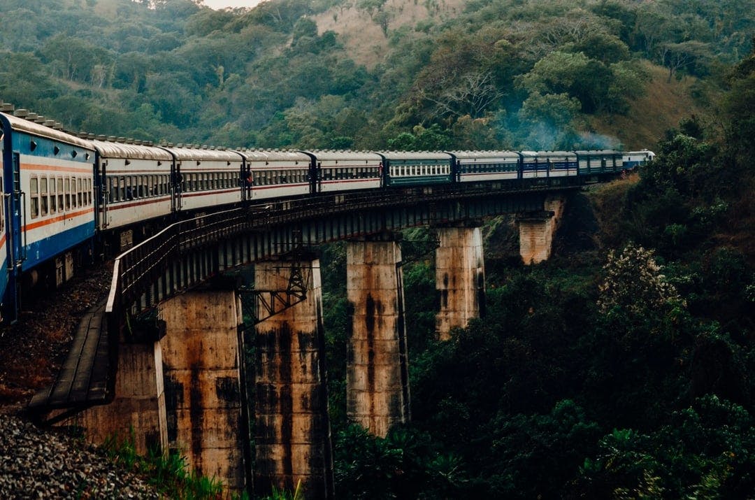 train goes over a bridge in a foresty area