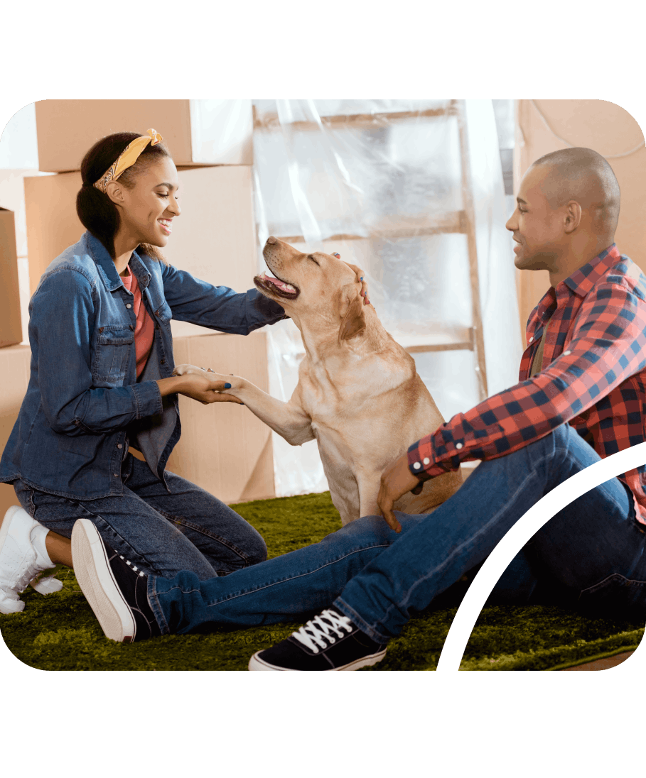 Moving to Portugal: How to move to Portugal with pets
