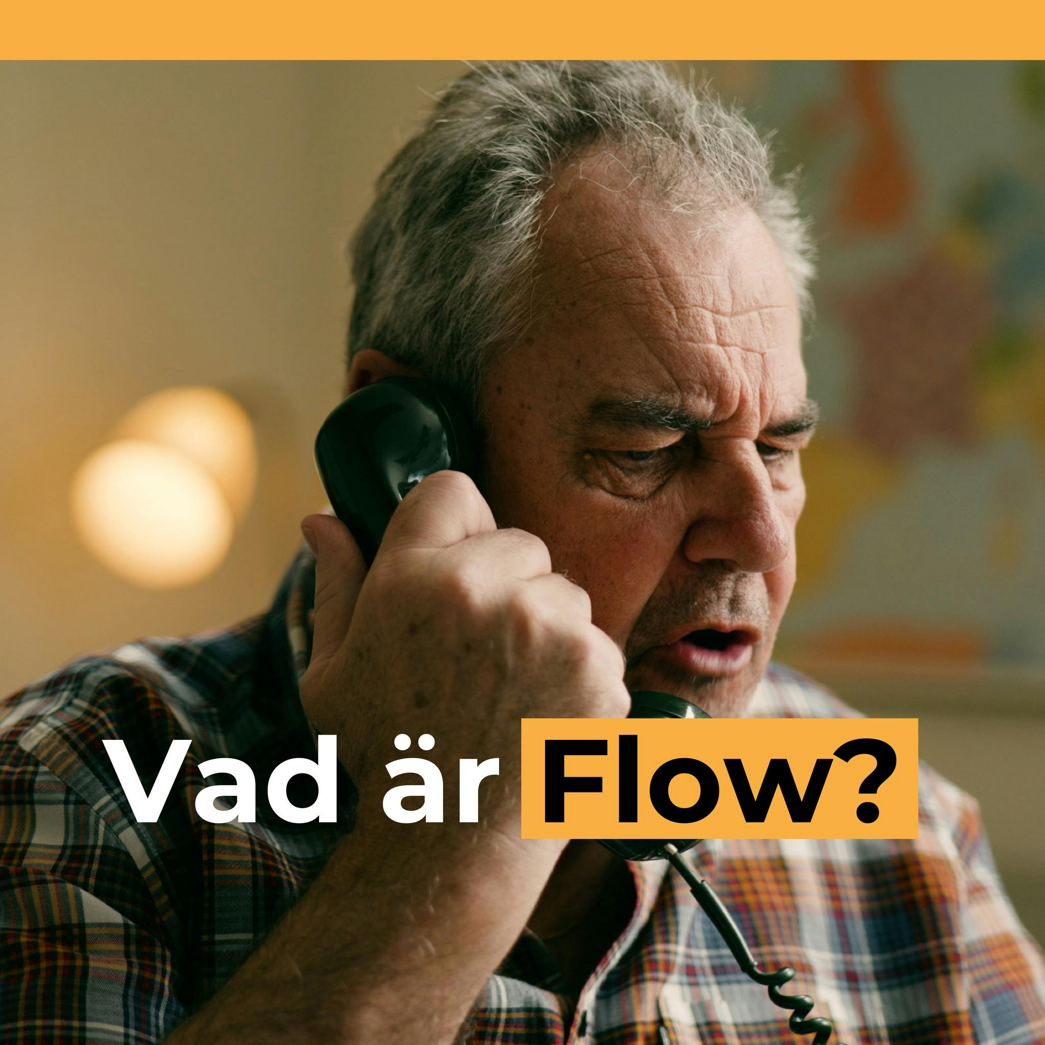 Transportledare i telefon