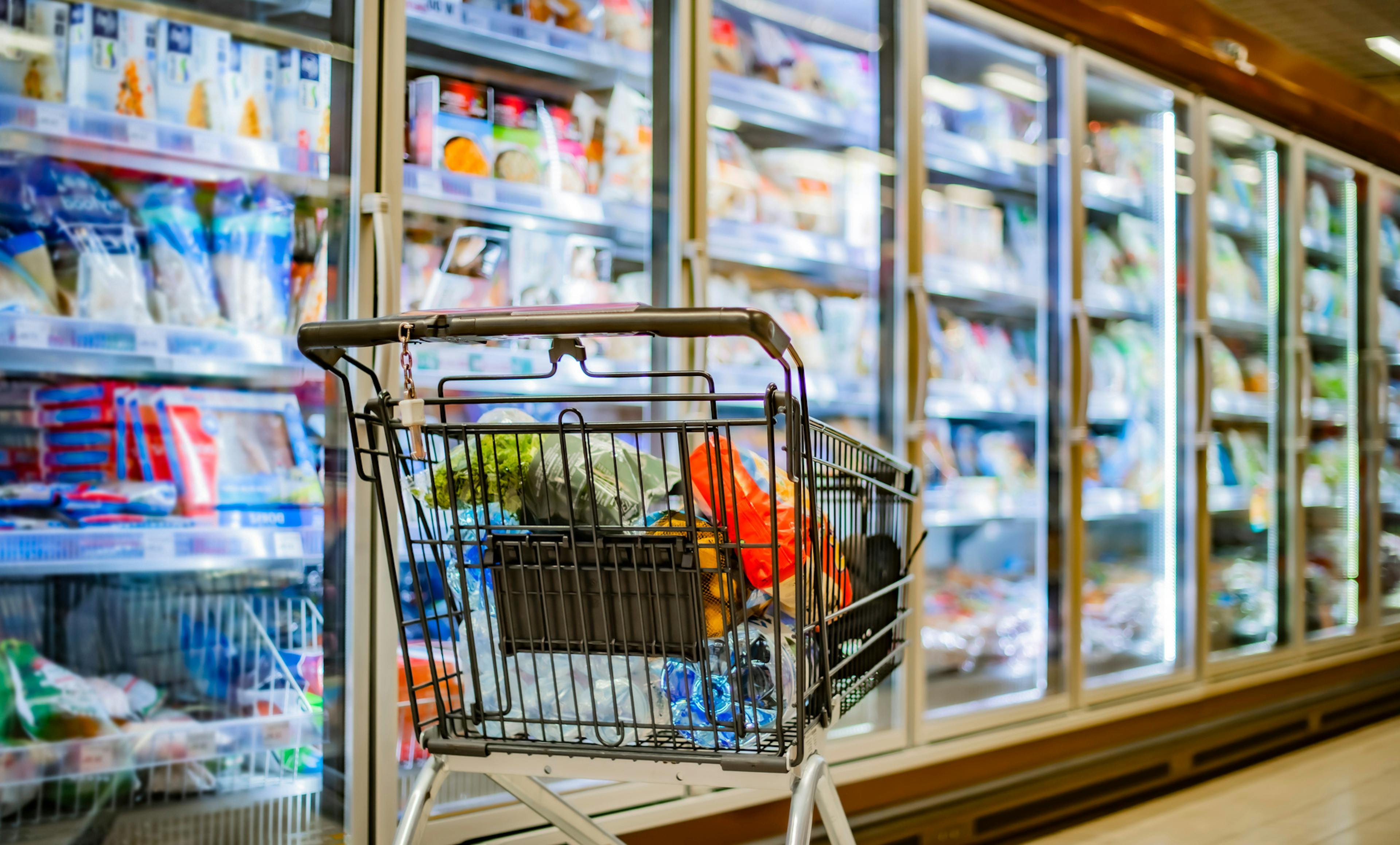 grocery cart in front of freezer