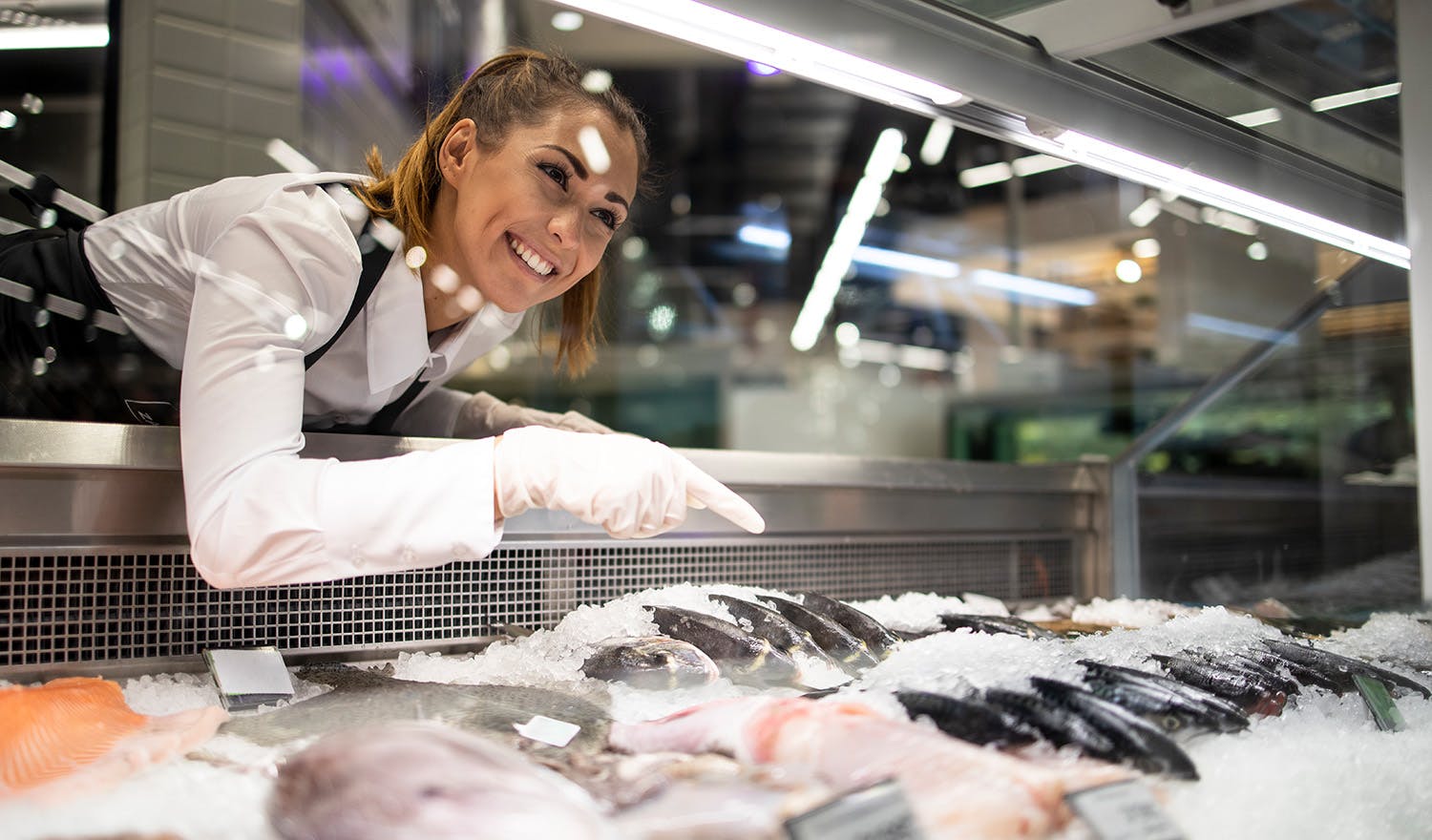 frozen fish in supermarket