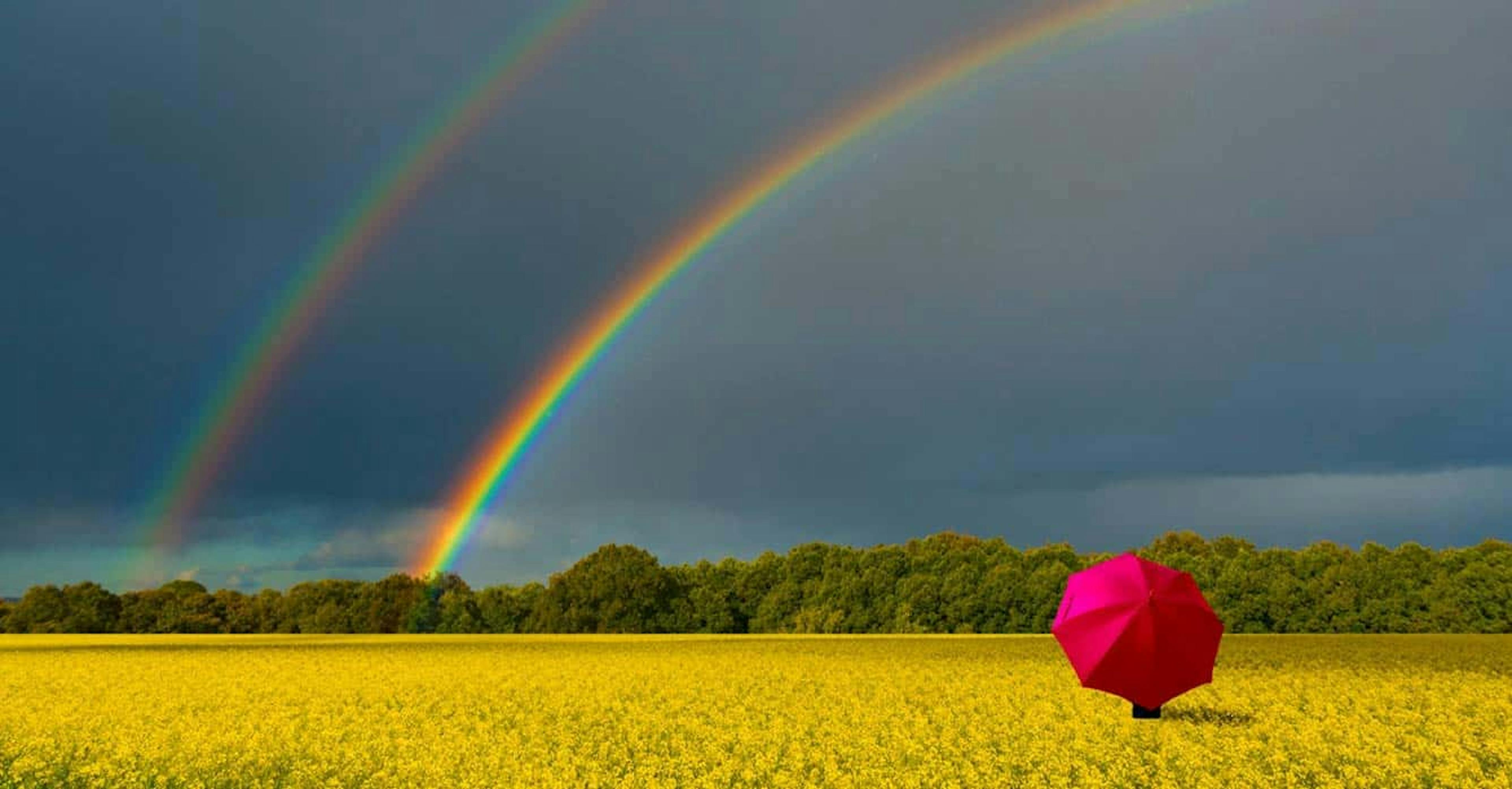 follow the rainbow