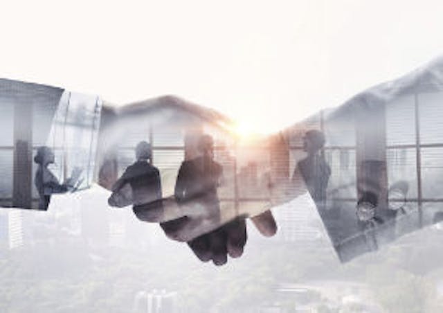 solutions partner