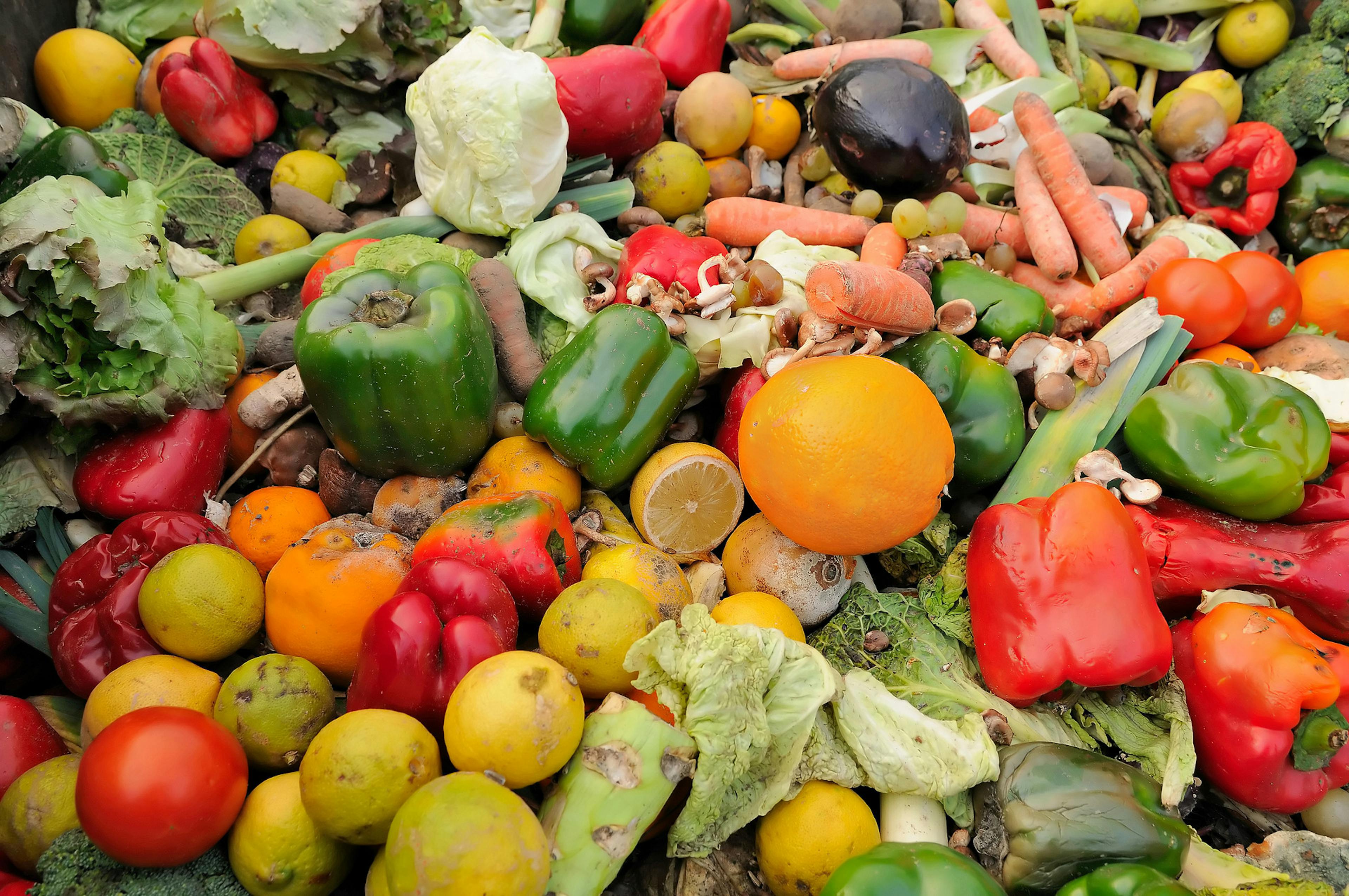grocery food waste