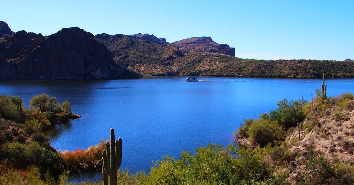 Saguaro Lake