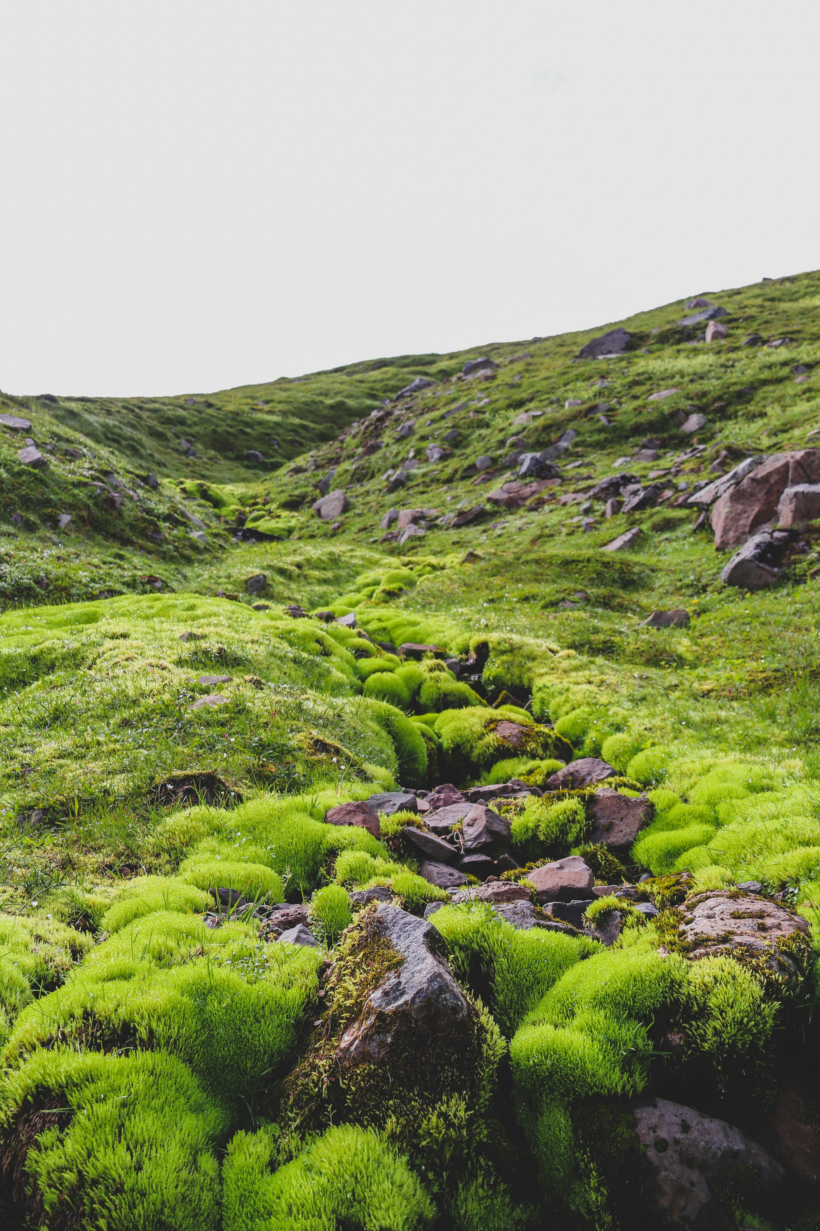 Hryggjarstykki græna hagkerfisins LOGOS lögmannsþjónusta