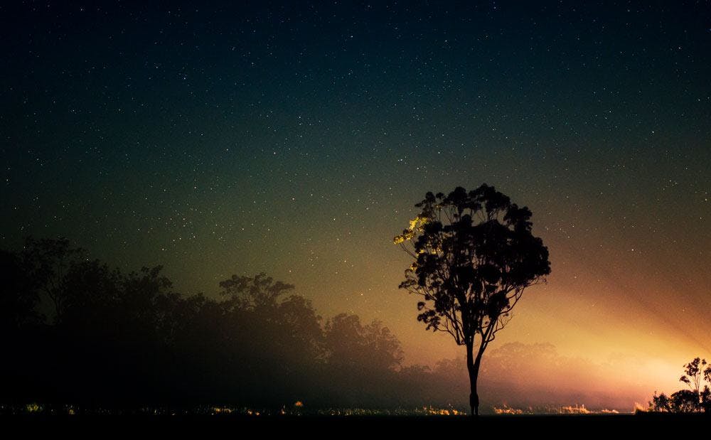 Starkt ljus som lyser upp ett uråldrigt landskap en stjärnklar natt, precis som nya Logtrade Data Sharing lösningar lyser upp logistikbranschen.