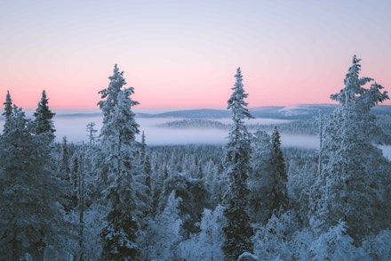 Winter view from Lapland
