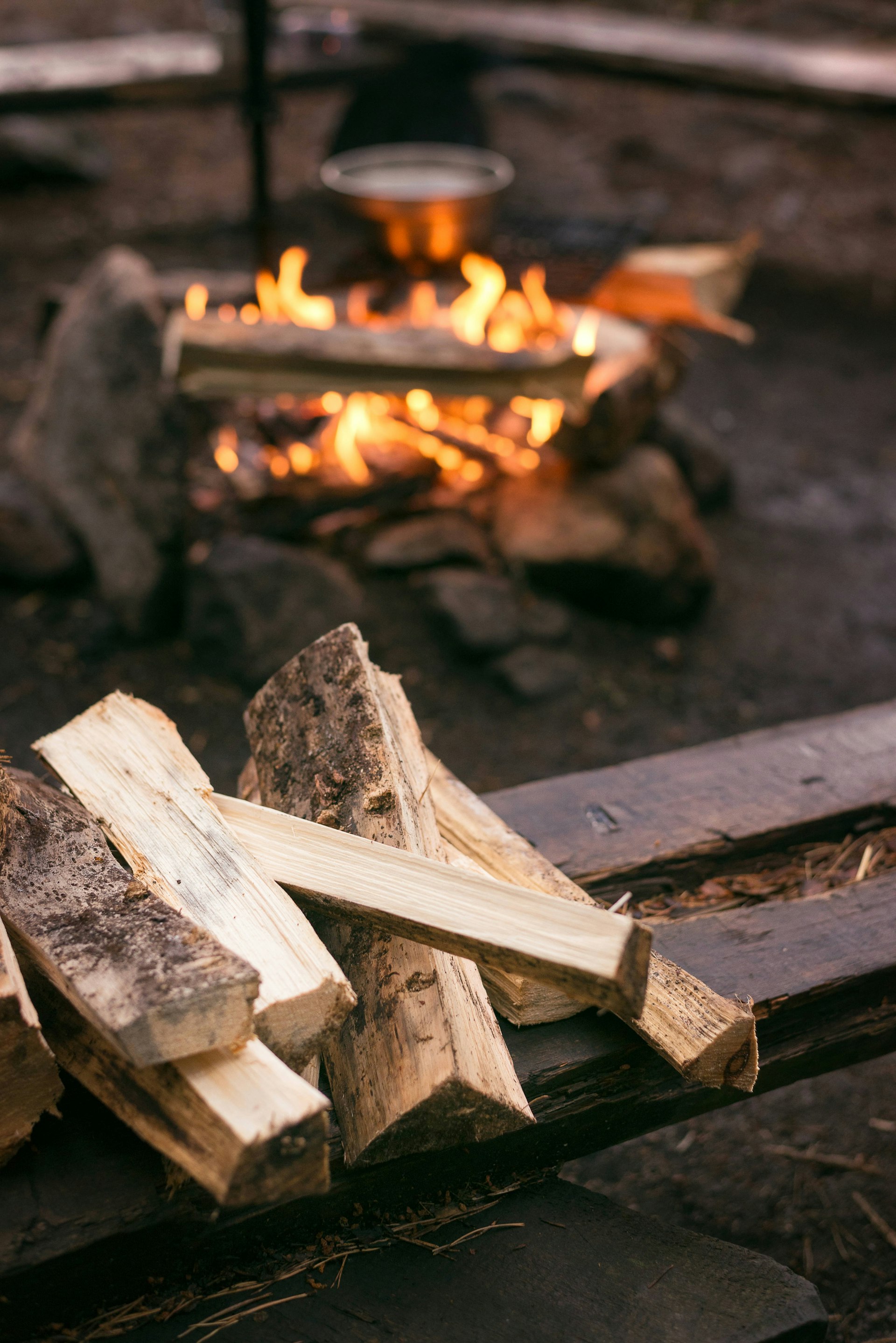 fireplace in the forest