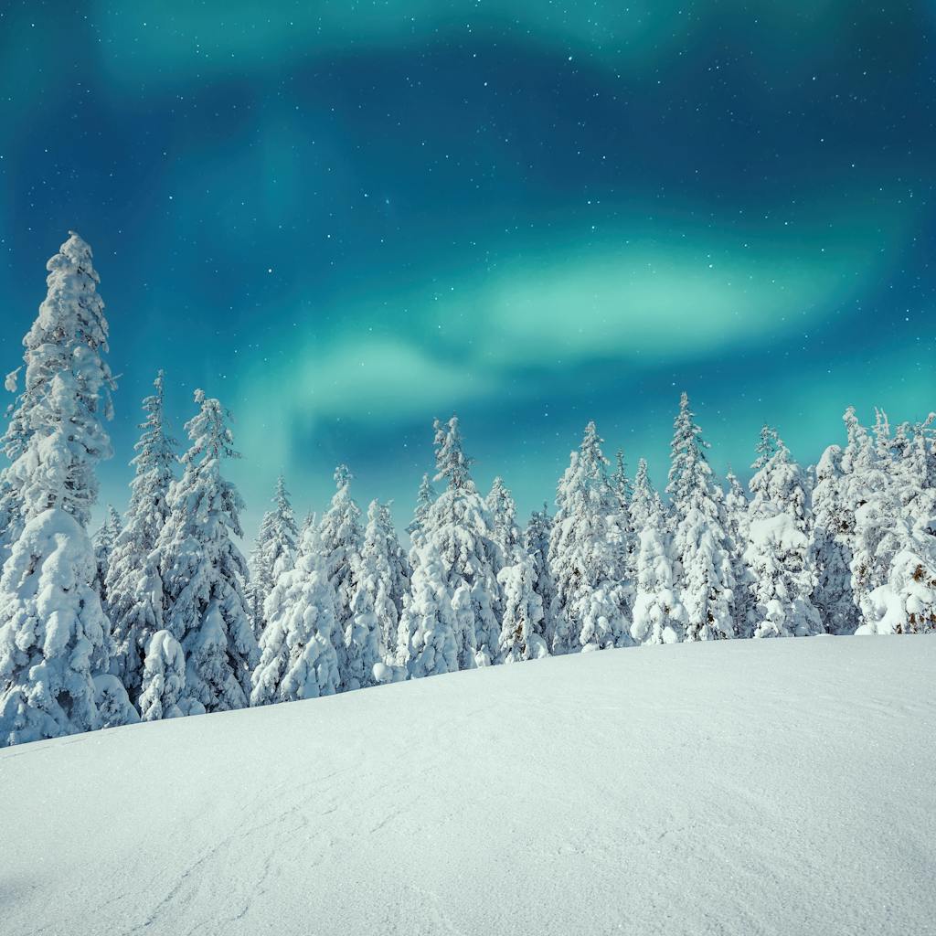 Aurora borealis over the frosty forest.