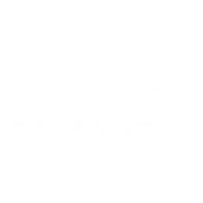 Lue Bassadone Automotive Nordicin asiakastarina