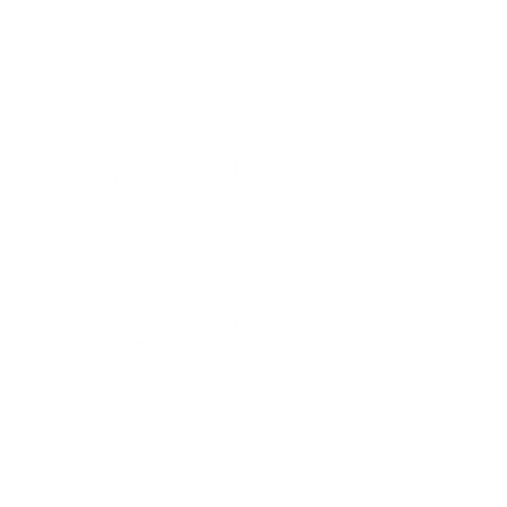 Lue Bassadone Automotive Nordicin asiakastarina